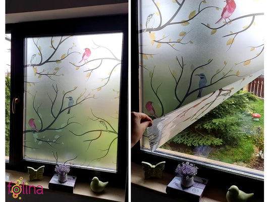 Self-adhesive decorative frosted window film Buzunie with branches and birds