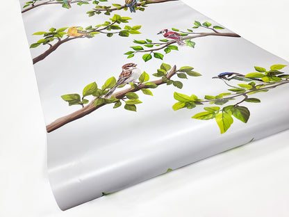 Self-adhesive decorative frosted window film Buzunew with branches and colorful birds